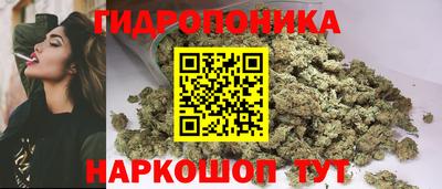 ПСИЛОЦИБИНОВЫЕ ГРИБЫ Свободный