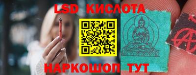 ПСИЛОЦИБИНОВЫЕ ГРИБЫ Свободный
