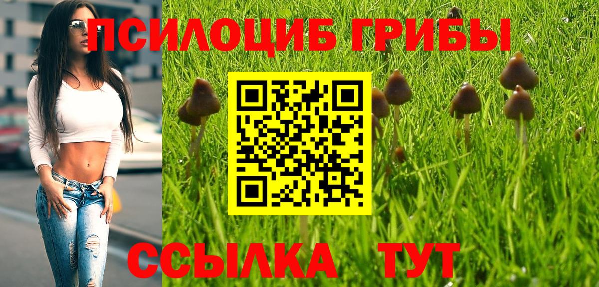 где купить наркоту  Вход с VPN  Галлюциногенные грибы ЛСД  Нягань  Галлюциногенные грибы GOLDEN TEACHER 