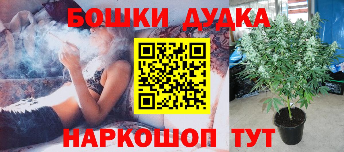 Канабис сатива  Вход с VPN  Канабис планчик  Бошки Шишки планчик  Нягань 